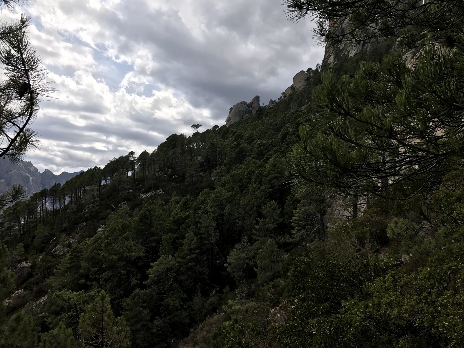 Picture France Corsica Cascades de Purcaraccia 2017-09 73 - Trail Cascades de Purcaraccia