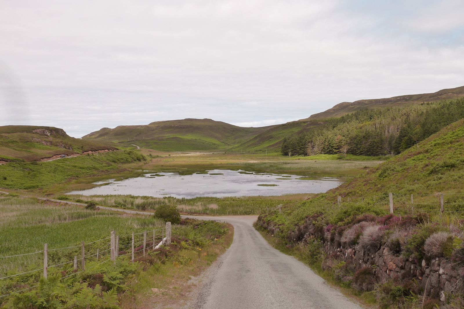 Picture United Kingdom Skye 2011-07 110 - Pictures Skye