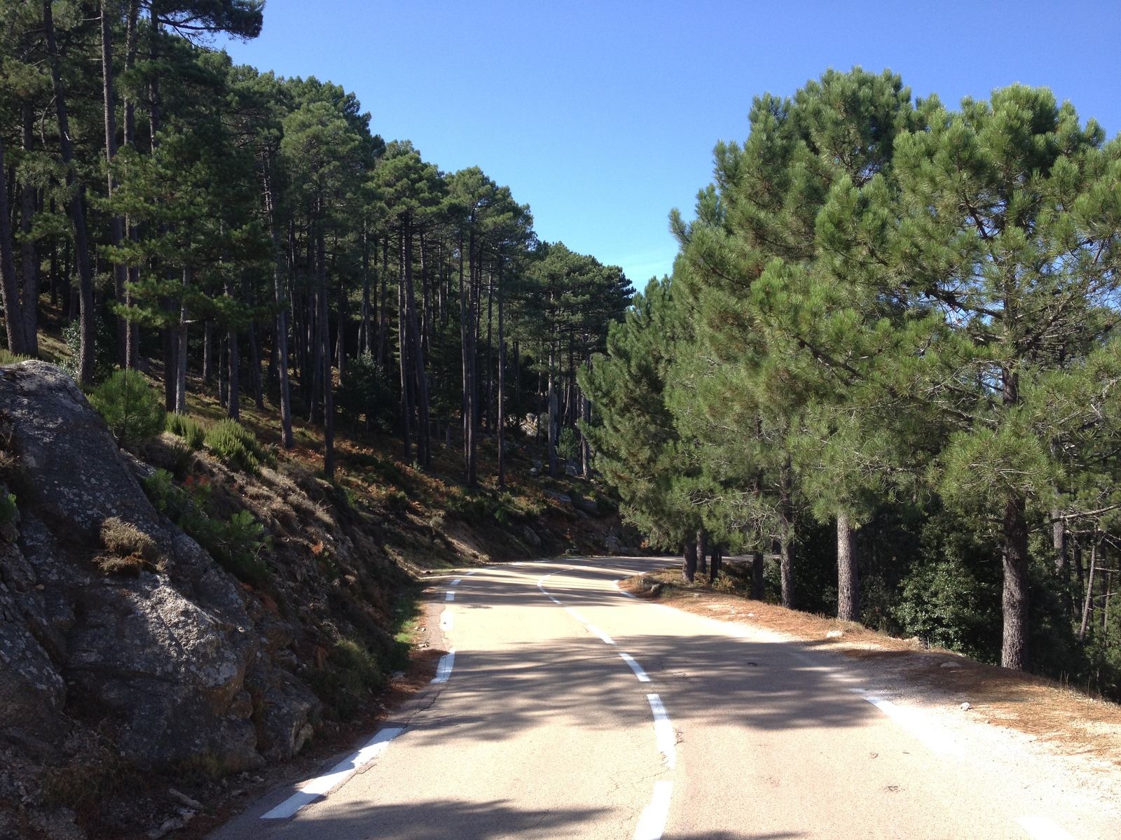 Picture France Corsica L'ospedale Forest 2012-09 10 - Travels L'ospedale Forest