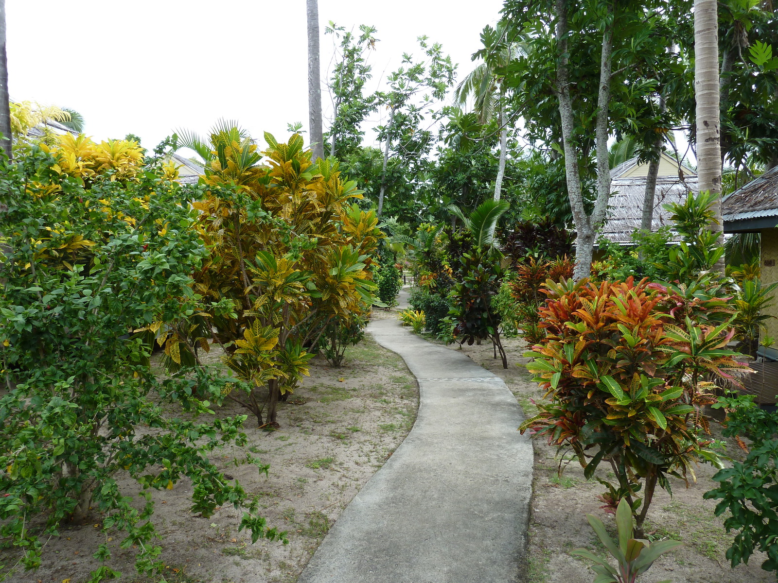 Picture Fiji Amunuca Island Resort 2010-05 19 - Sightseeing Amunuca Island Resort