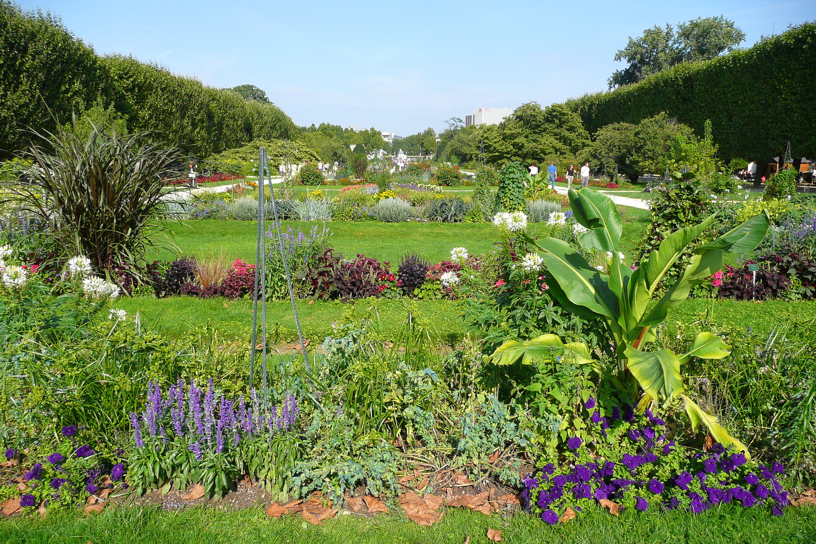 Picture France Paris Jardin des Plantes 2007-08 227 - Visit Jardin des Plantes