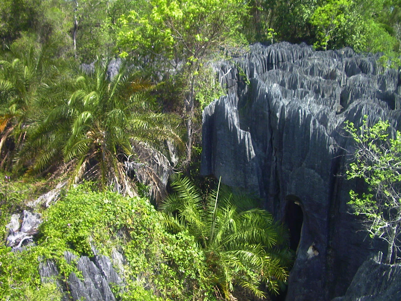 Picture Madagascar Tsingy 1999-10 7 - Trips Tsingy