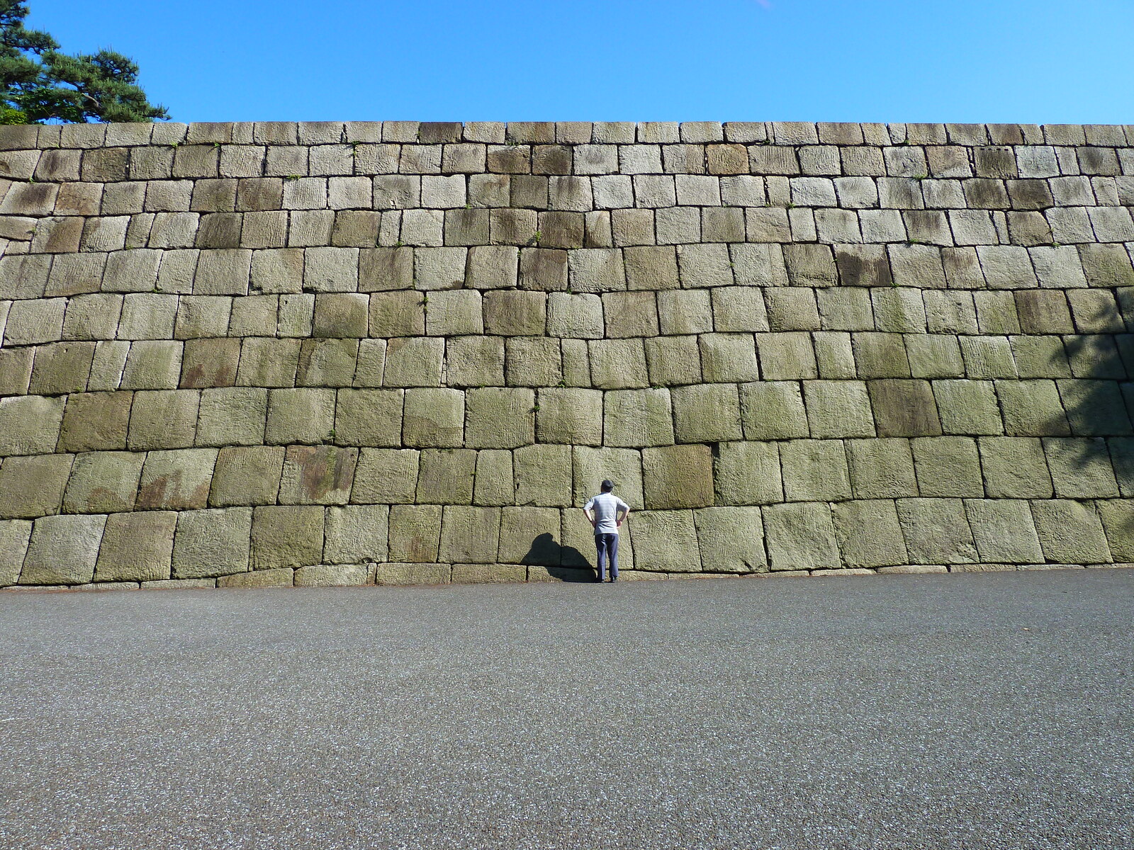 Picture Japan Tokyo Imperial Palace 2010-06 60 - Picture Imperial Palace