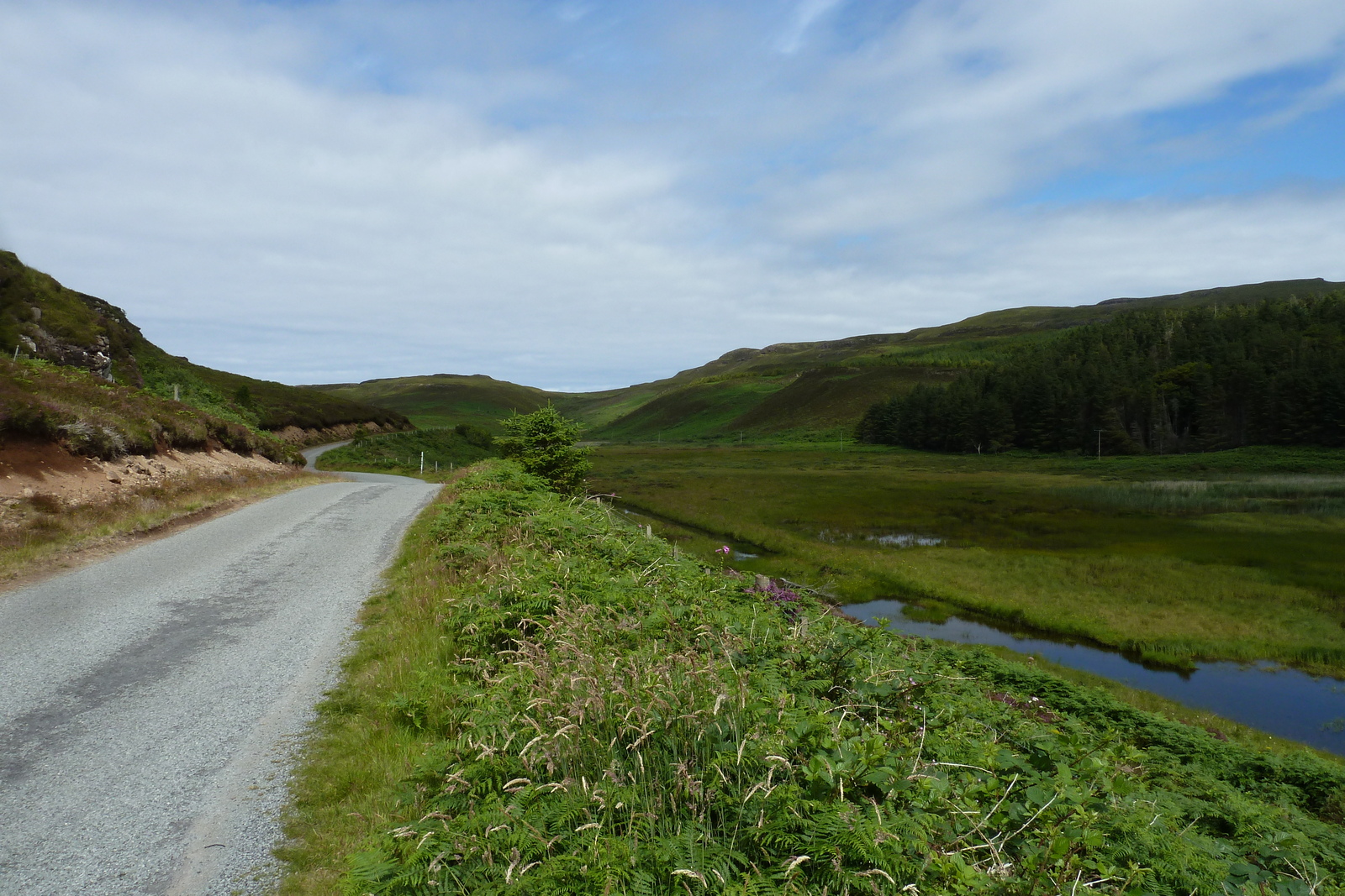 Picture United Kingdom Skye 2011-07 154 - Photo Skye