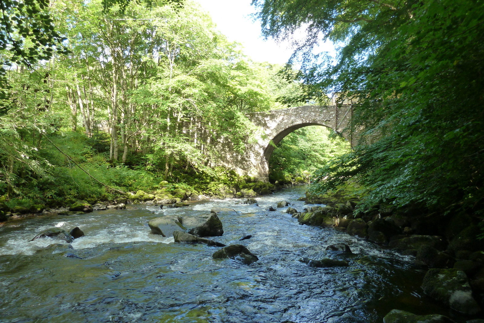 Picture United Kingdom Scotland Huntly 2011-07 8 - Pictures Huntly