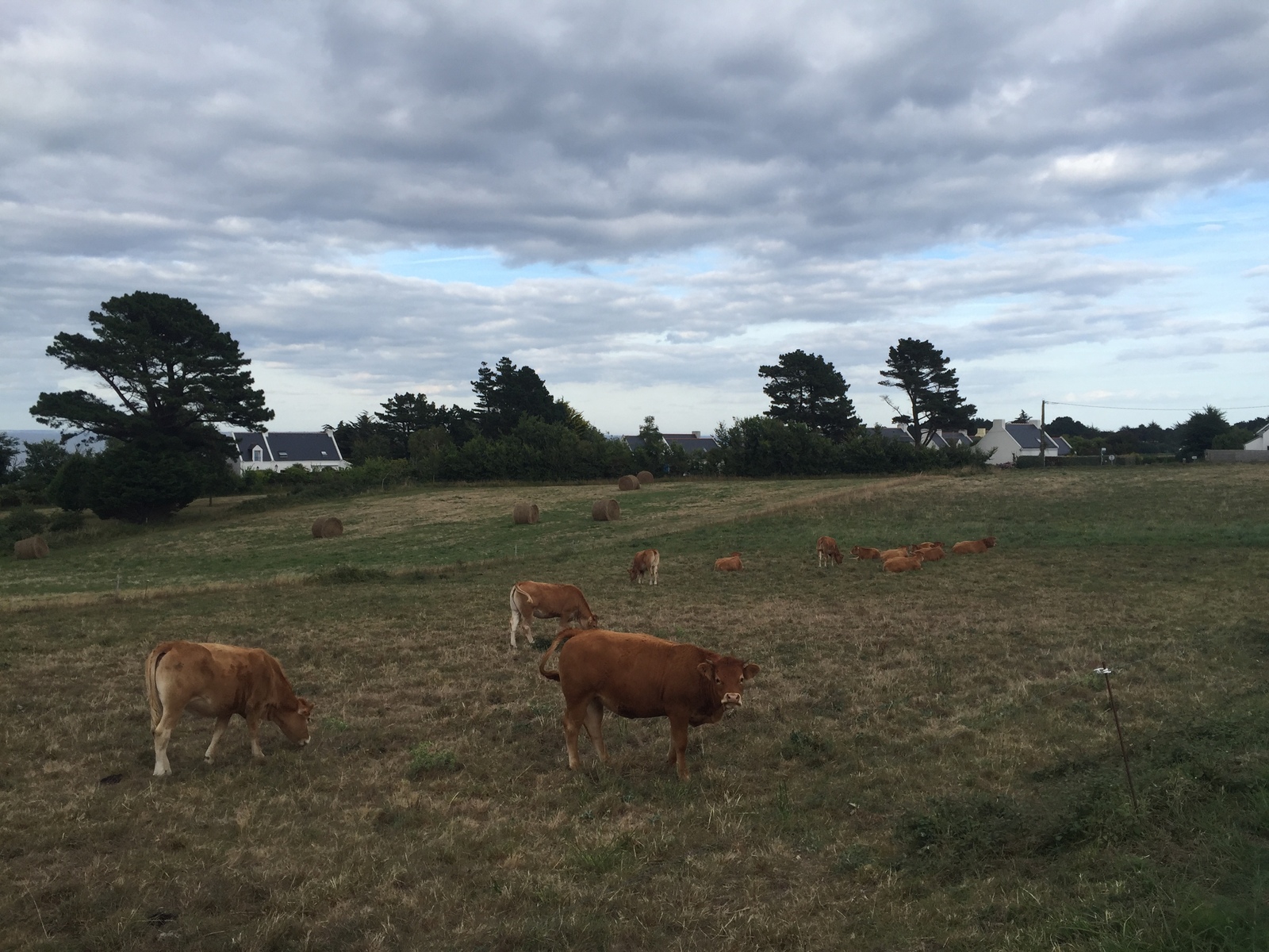 Picture France Belle-Ile 2016-08 152 - Views Belle-Ile