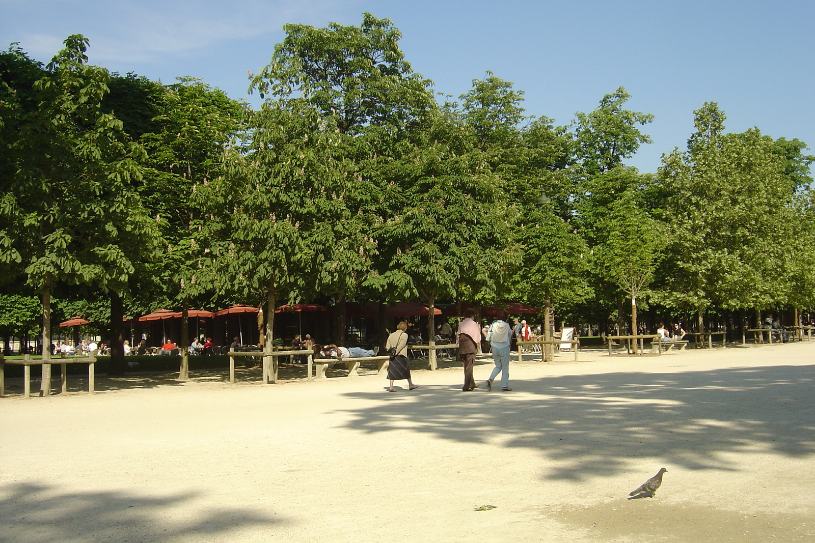 Picture France Paris Garden of Tuileries 2007-05 175 - Tourist Attraction Garden of Tuileries