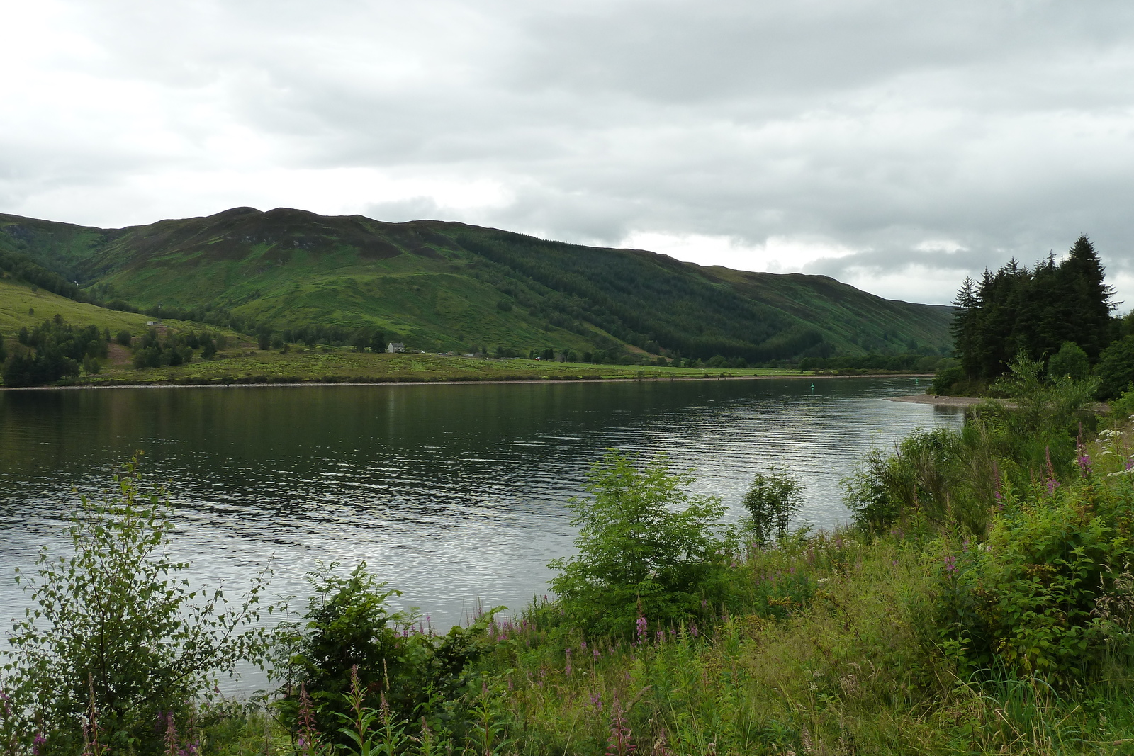 Picture United Kingdom Scotland Loch Laggan to Loch Ness road 2011-07 19 - Photos Loch Laggan to Loch Ness road