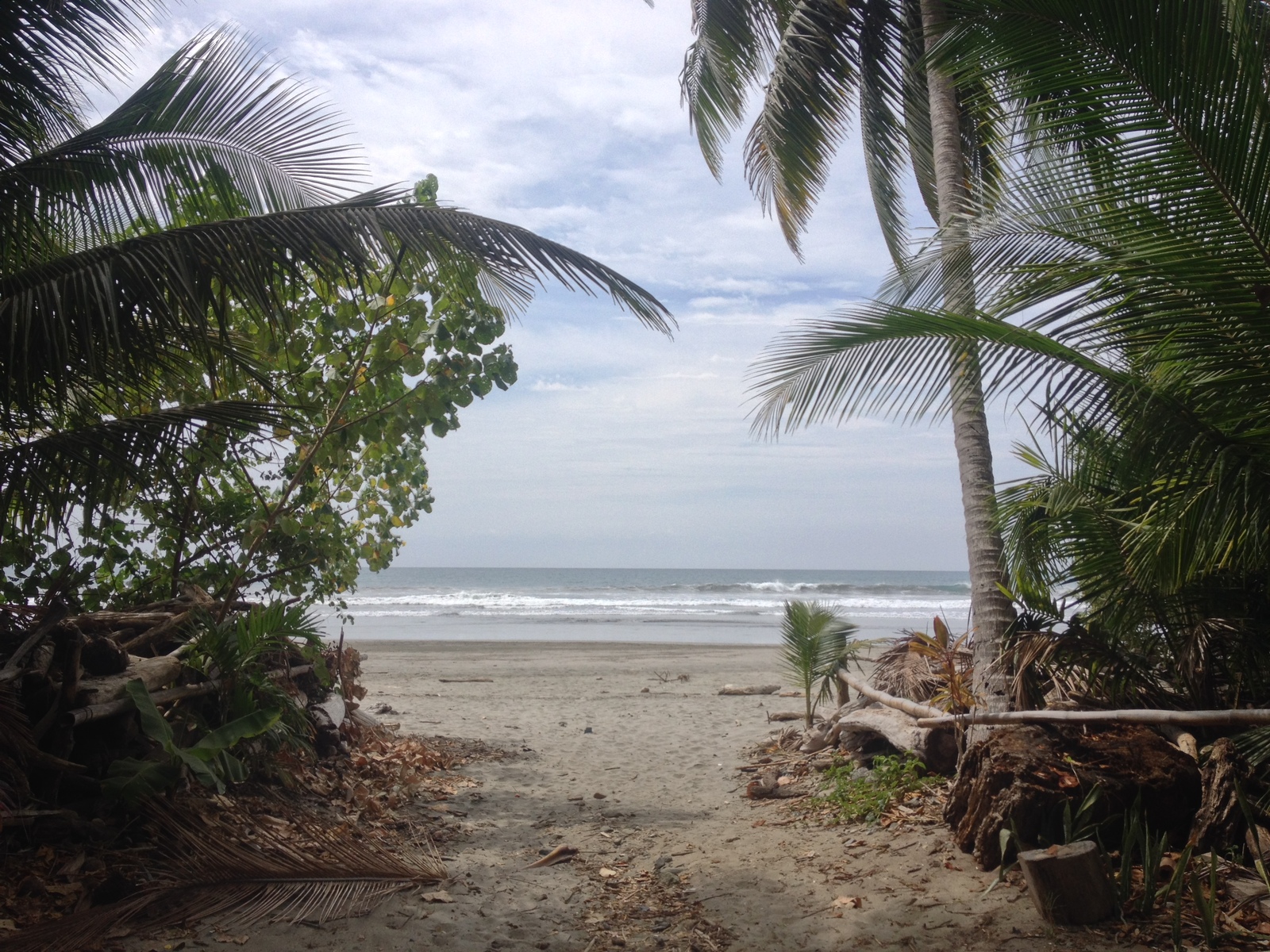 Picture Costa Rica Montezuma 2015-03 284 - Pictures Montezuma