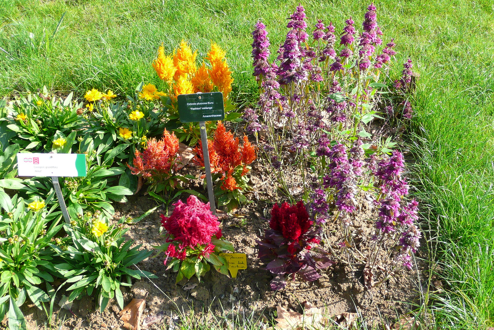 Picture France Paris Jardin des Plantes 2007-08 174 - Photo Jardin des Plantes