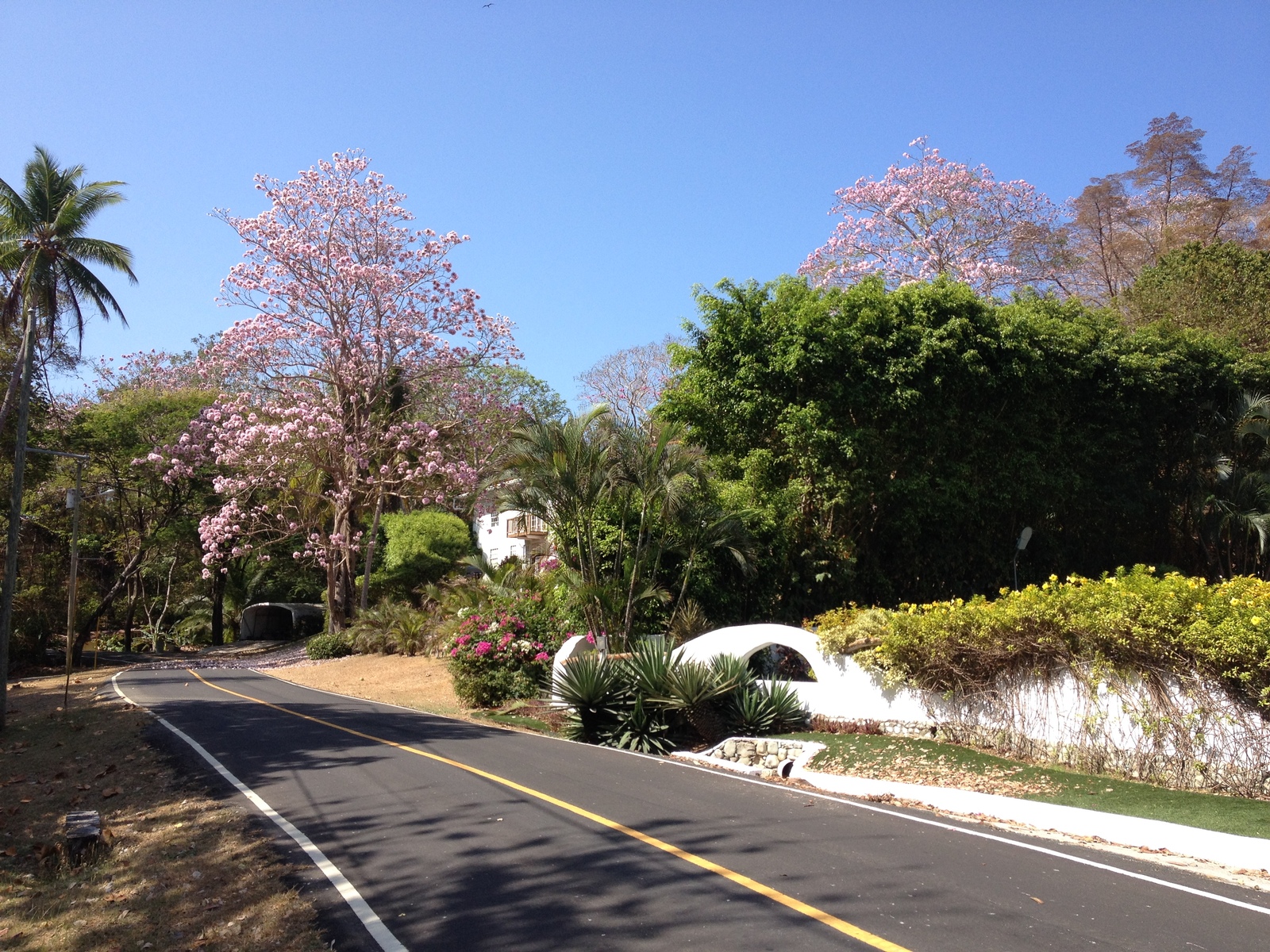 Picture Panama Contadora Island 2015-03 165 - Tourist Places Contadora Island