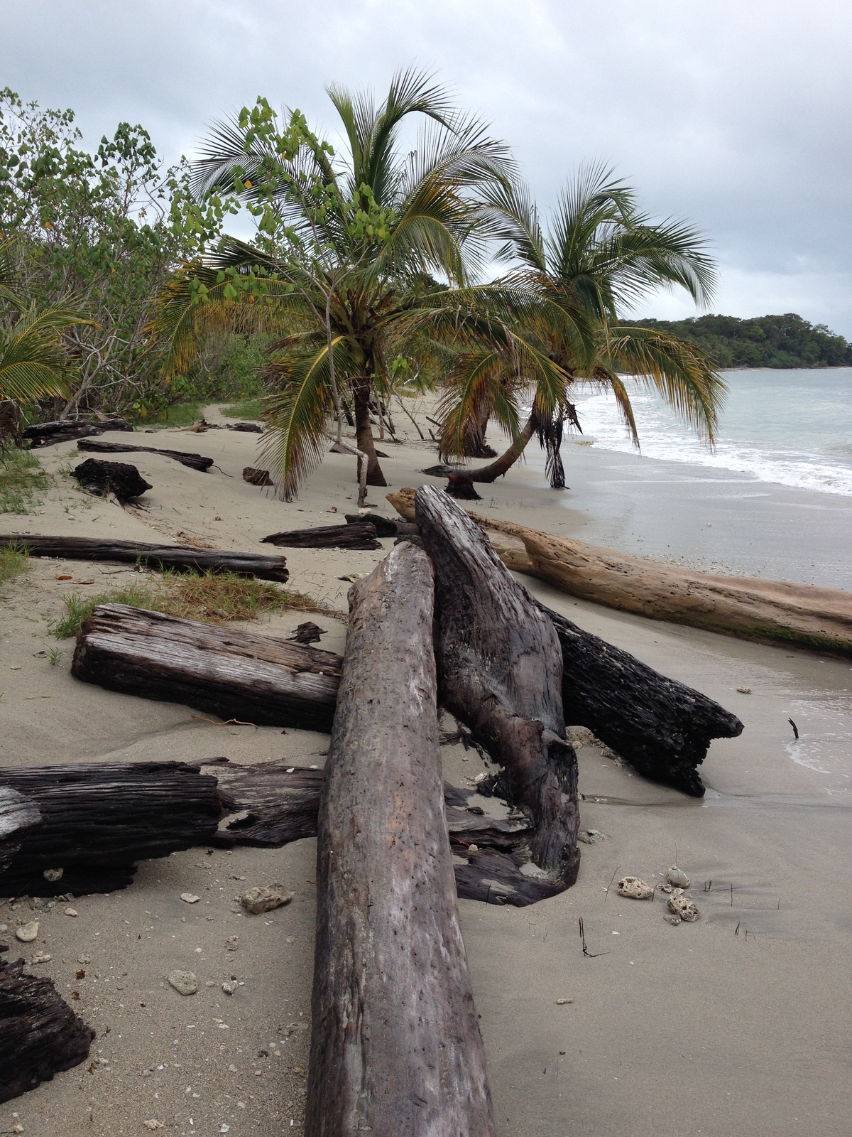 Picture Costa Rica Cahuita 2015-03 237 - Views Cahuita