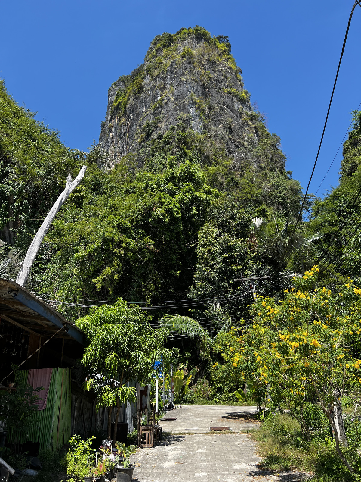 Picture Thailand Krabi 2023-01 80 - Visit Krabi