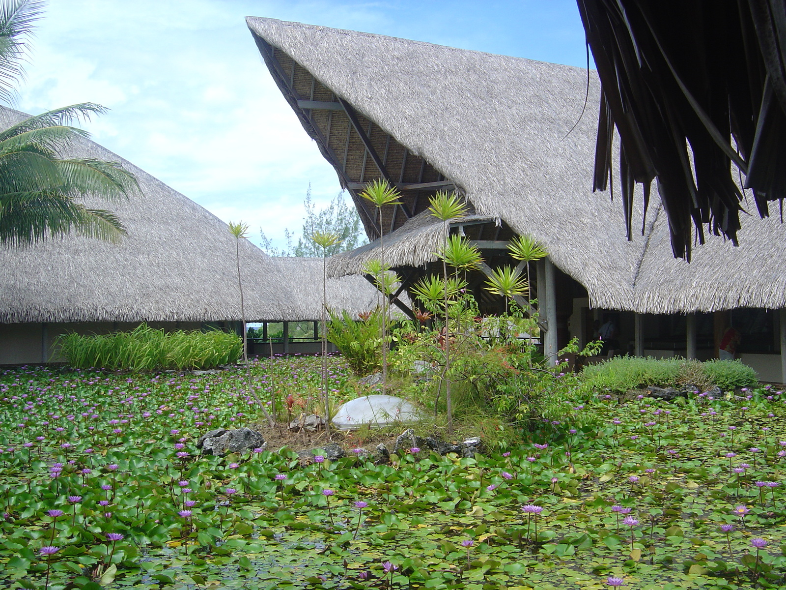 Picture Polynesia Meridien Bora Bora Hotel 2006-04 82 - Photographer Meridien Bora Bora Hotel