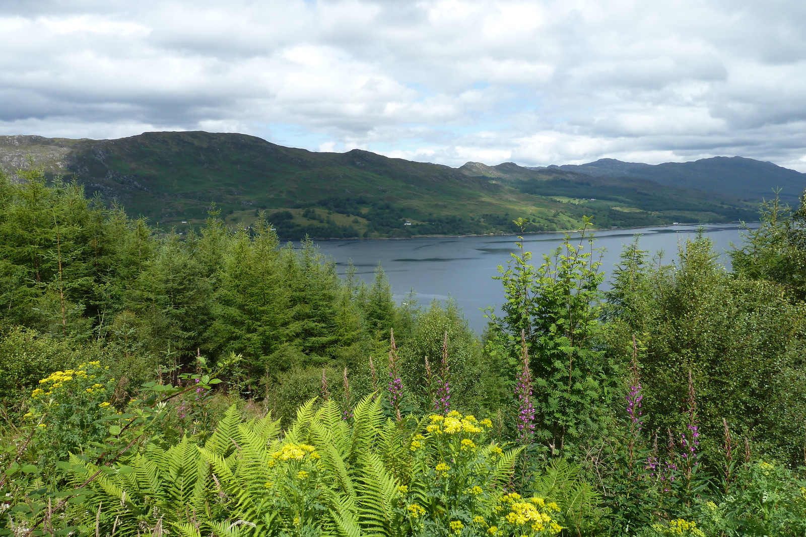 Picture United Kingdom Scotland 2011-07 27 - Trail Scotland