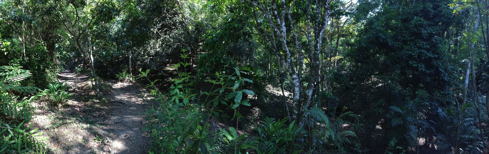 Picture Costa Rica Manuel Antonio 2015-03 133 - View Manuel Antonio