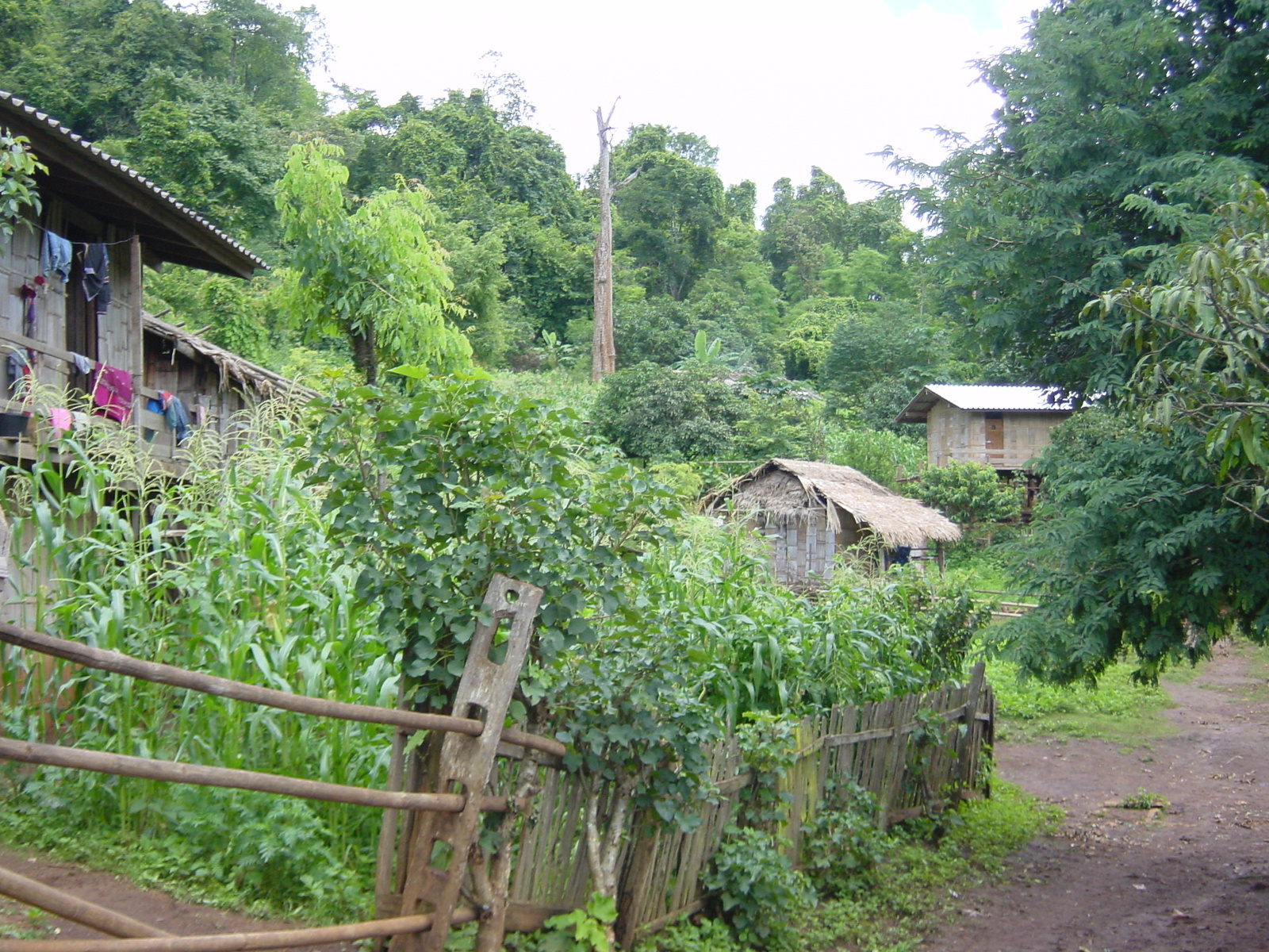 Picture Thailand Mae Hong Son 2003-07 5 - Pictures Mae Hong Son