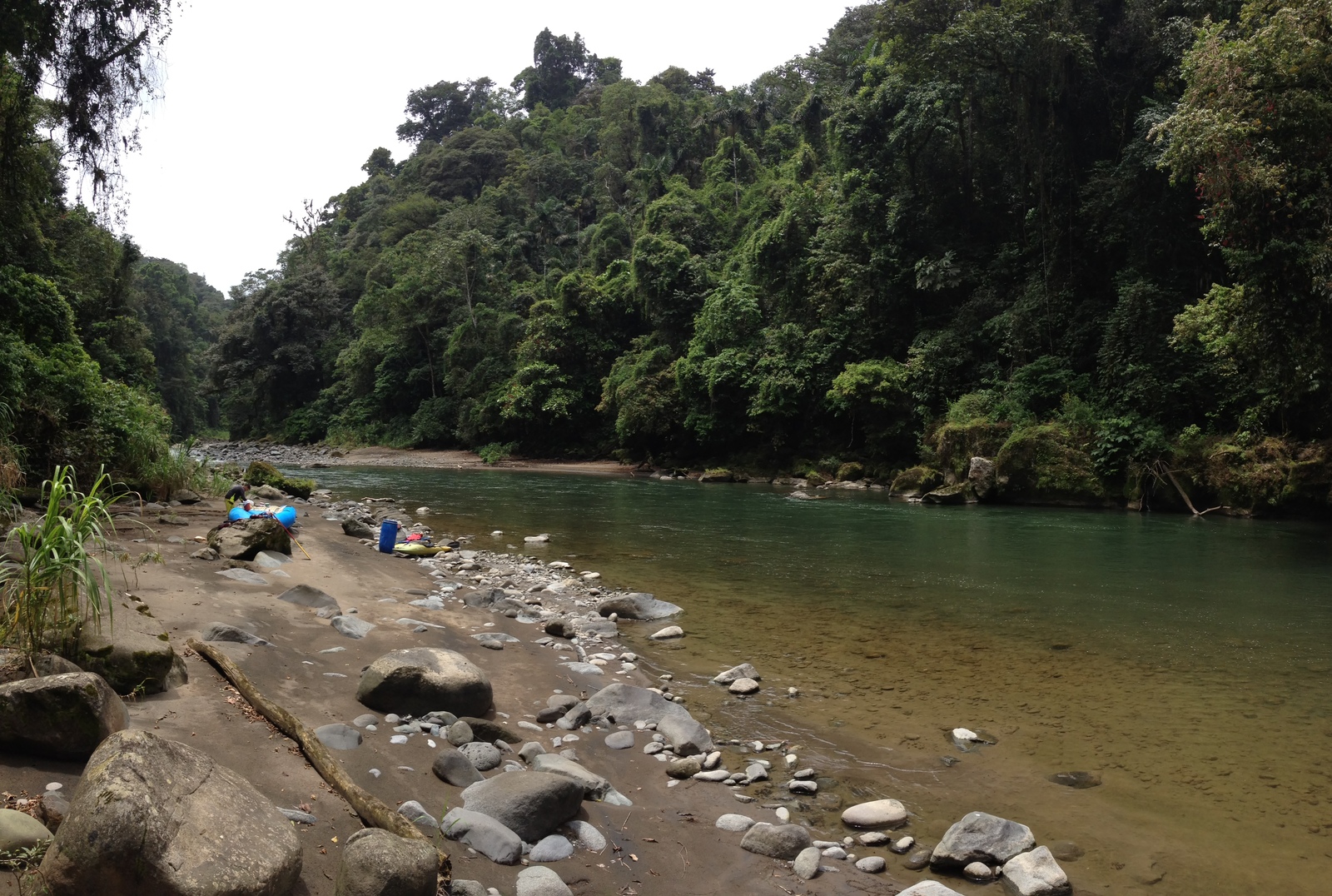 Picture Costa Rica Pacuare River 2015-03 224 - Sight Pacuare River