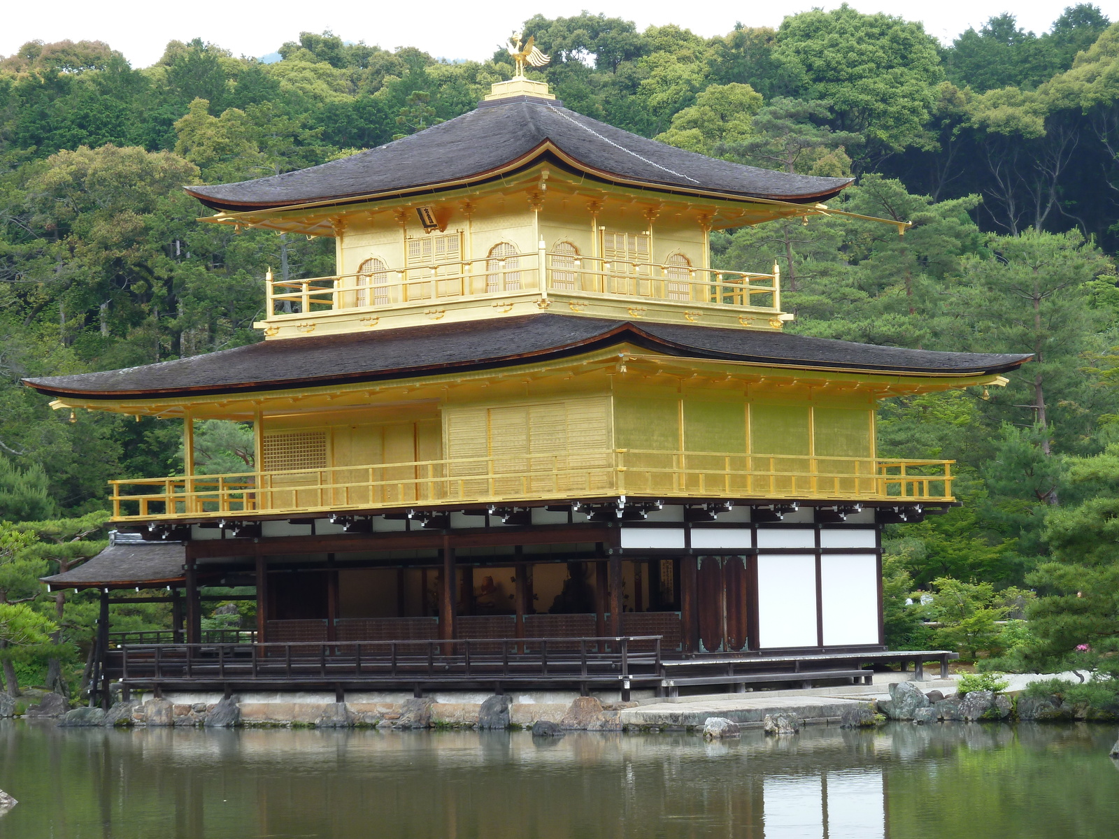 Picture Japan Kyoto Kinkakuji Temple(Golden Pavilion) 2010-06 1 - Flight Kinkakuji Temple(Golden Pavilion)