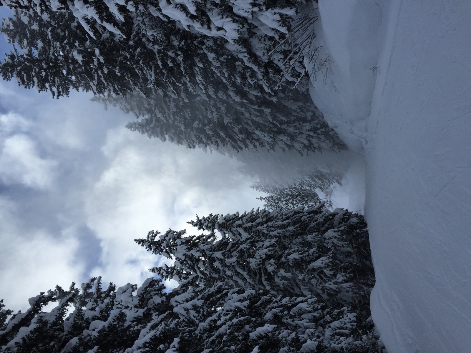 Picture France Megeve 2016-02 72 - Sight Megeve