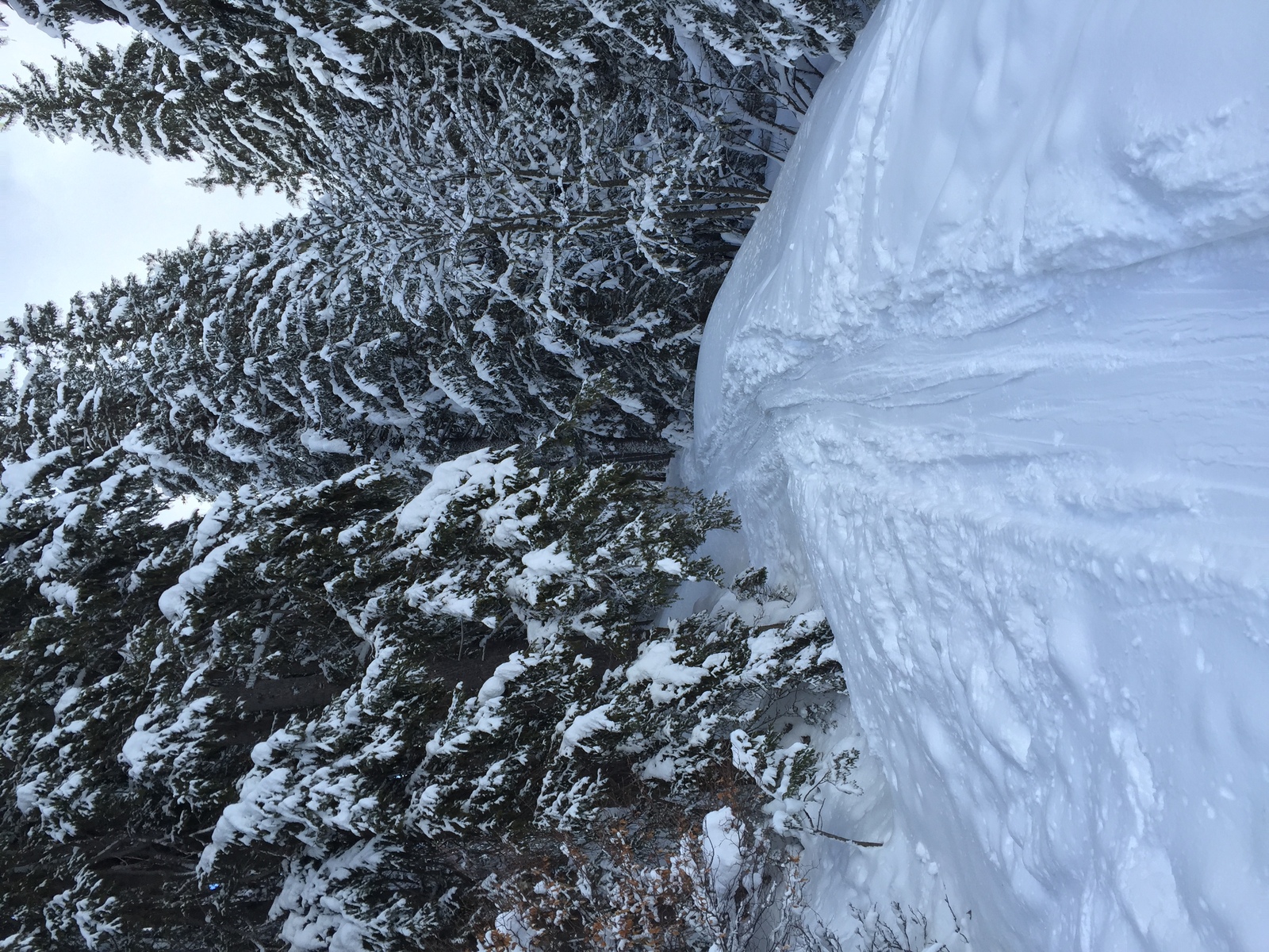 Picture France Megeve 2016-02 52 - Visit Megeve