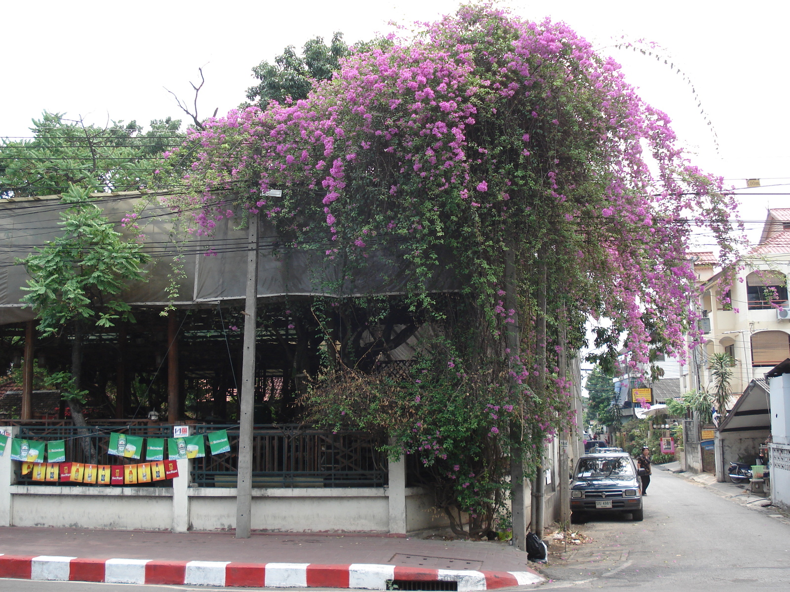 Picture Thailand Chiang Mai Inside Canal Arrak Road(Canal) 2006-04 15 - Car Arrak Road(Canal)