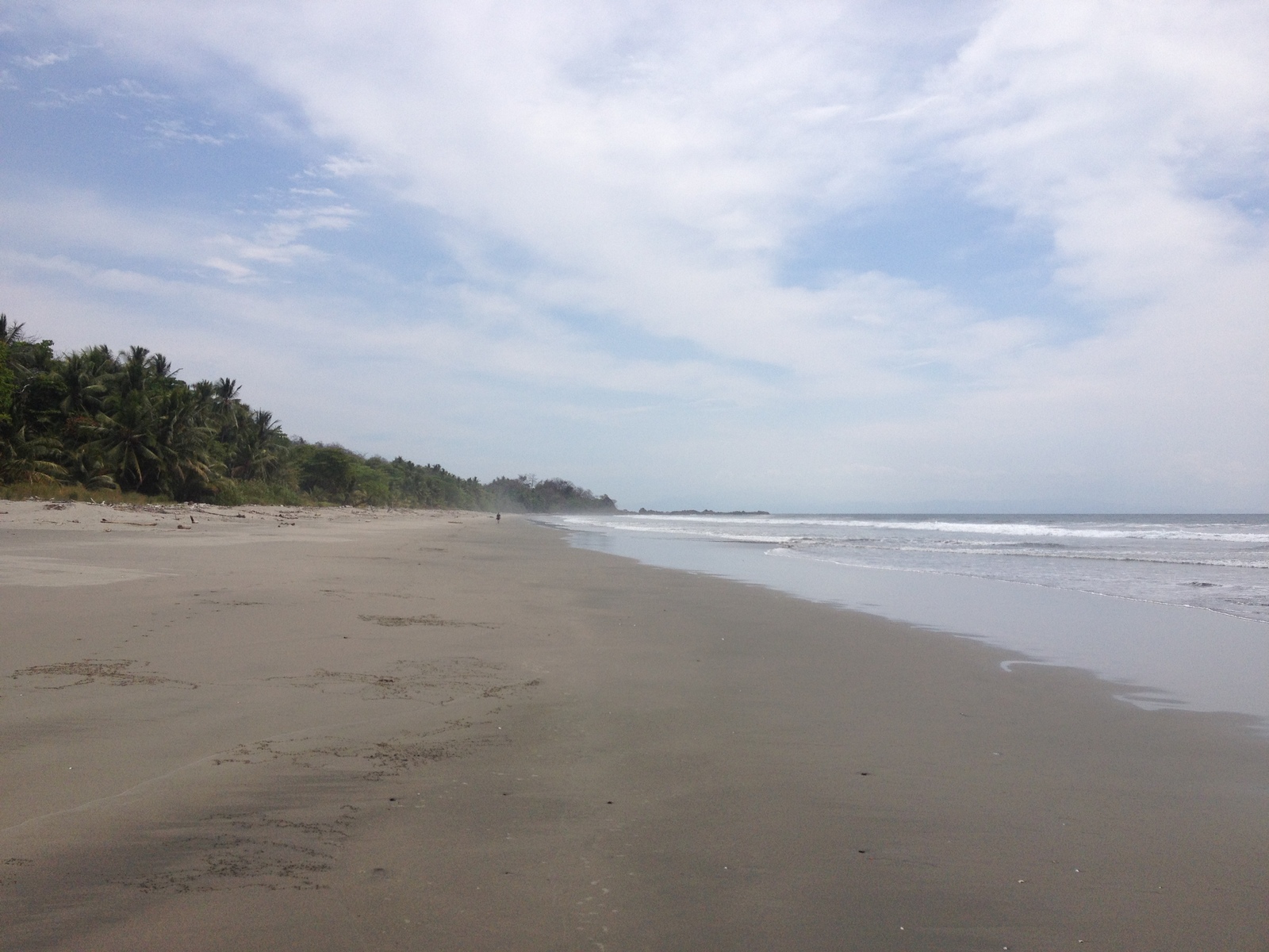 Picture Costa Rica Montezuma 2015-03 325 - Sight Montezuma