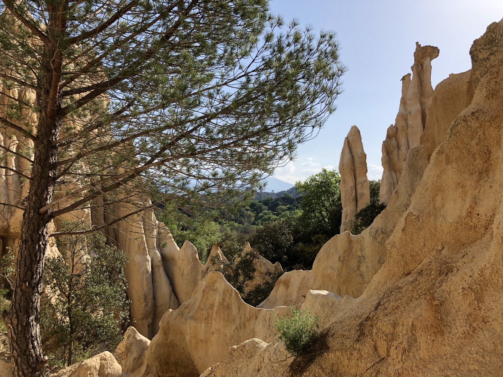 Picture France Orgues d'Ille Sur Tet 2018-04 10 - Tourist Orgues d'Ille Sur Tet