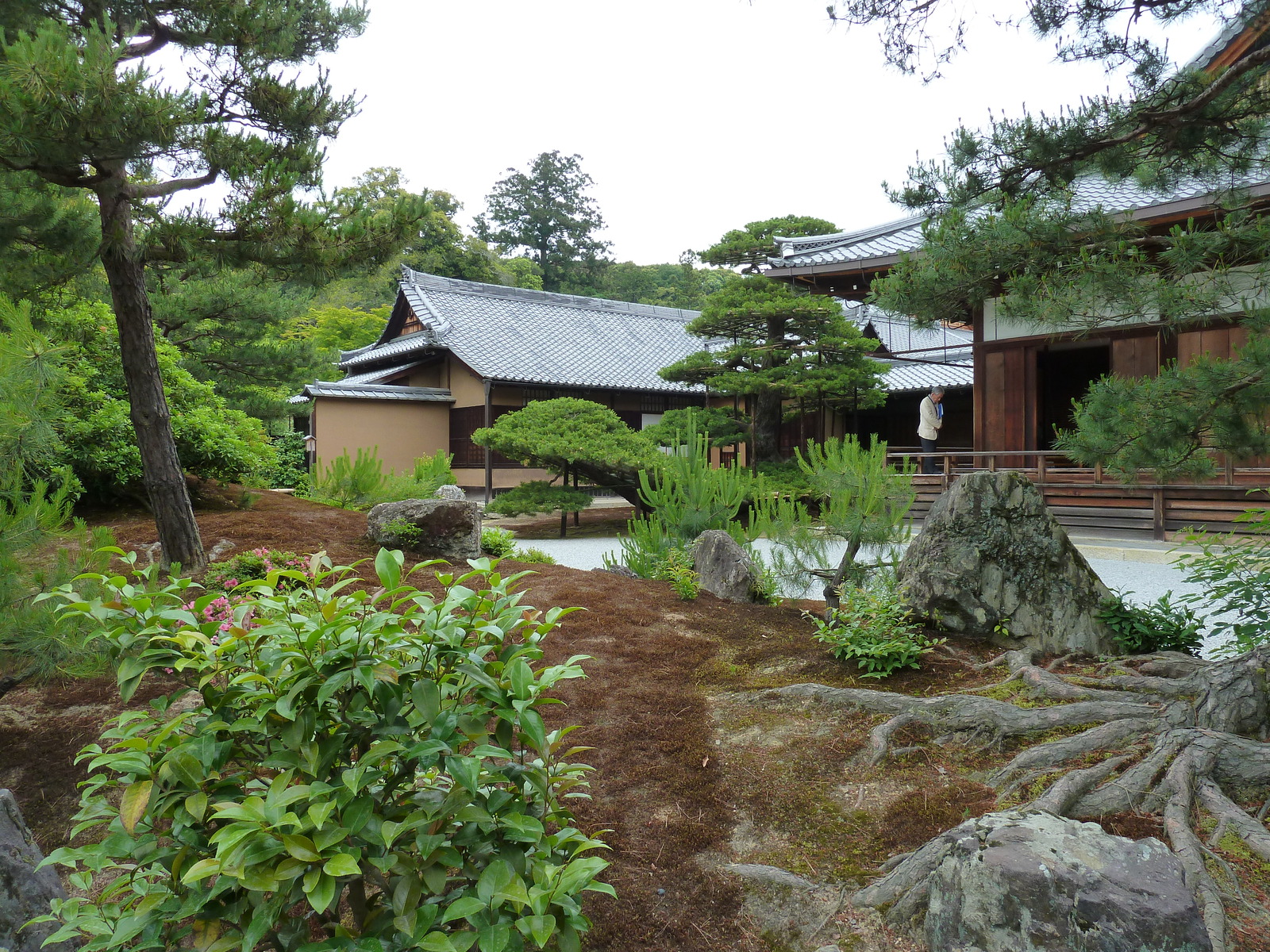 Picture Japan Kyoto Kinkakuji Temple(Golden Pavilion) 2010-06 14 - Perspective Kinkakuji Temple(Golden Pavilion)