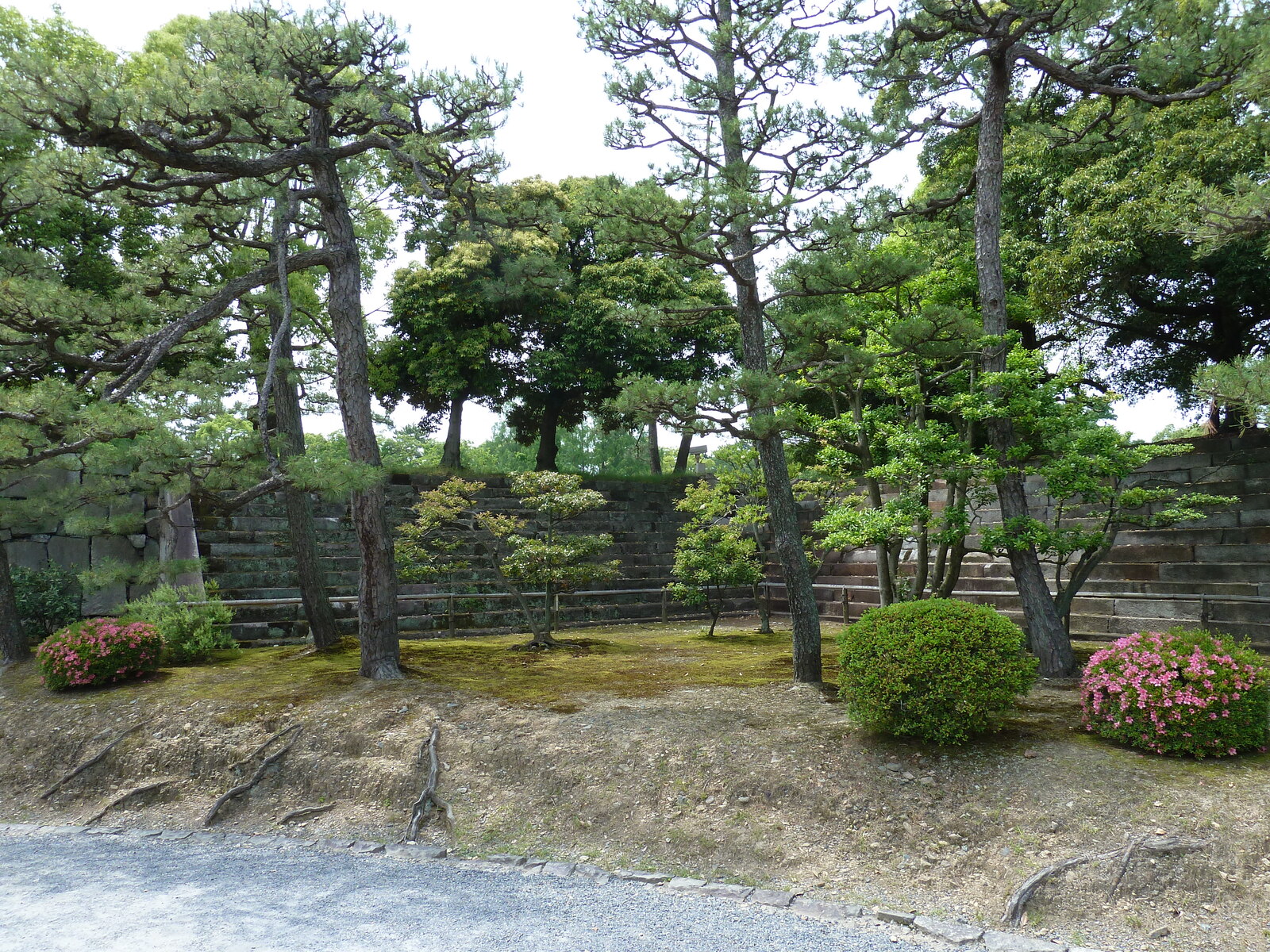 Picture Japan Kyoto Nijo Castle Honmaru Palace 2010-06 49 - View Honmaru Palace