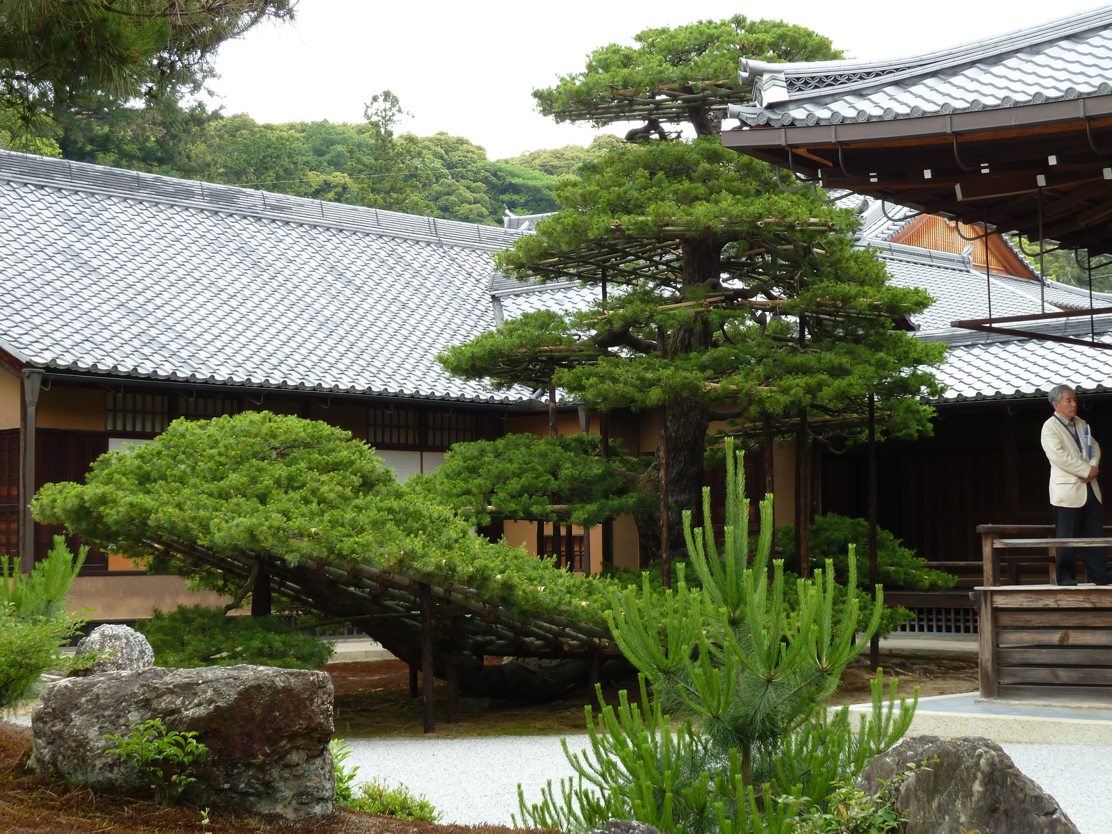 Picture Japan Kyoto Kinkakuji Temple(Golden Pavilion) 2010-06 20 - Flight Kinkakuji Temple(Golden Pavilion)