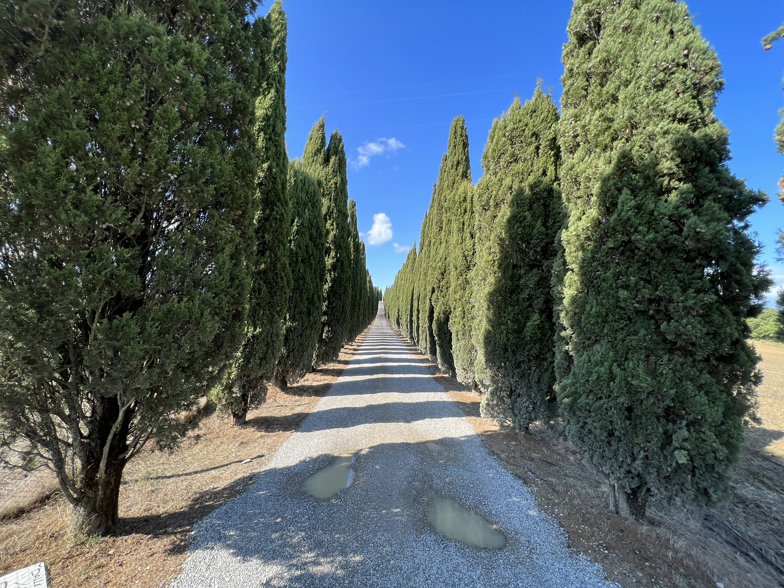 Picture Italy Tuscany 2021-09 17 - Photographers Tuscany