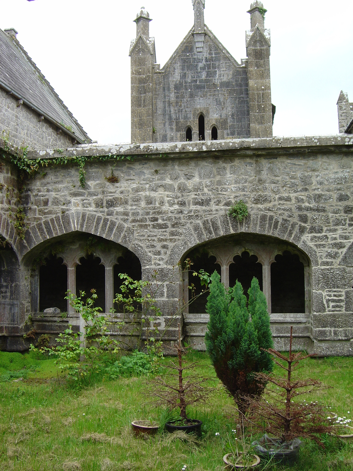 Picture Ireland Limerick County Adare 2004-05 12 - Shopping Mall Adare