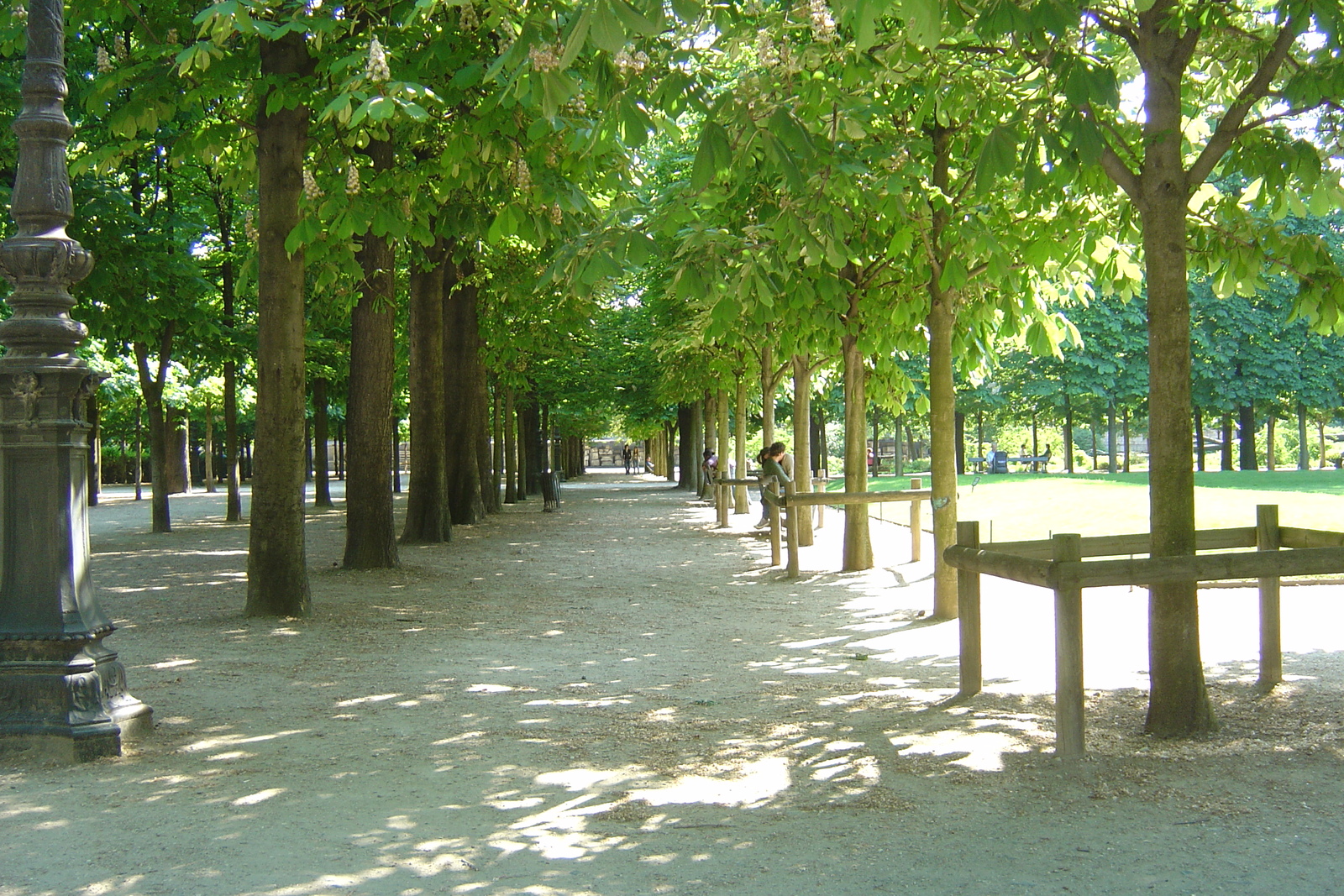 Picture France Paris Garden of Tuileries 2007-05 205 - Visit Garden of Tuileries