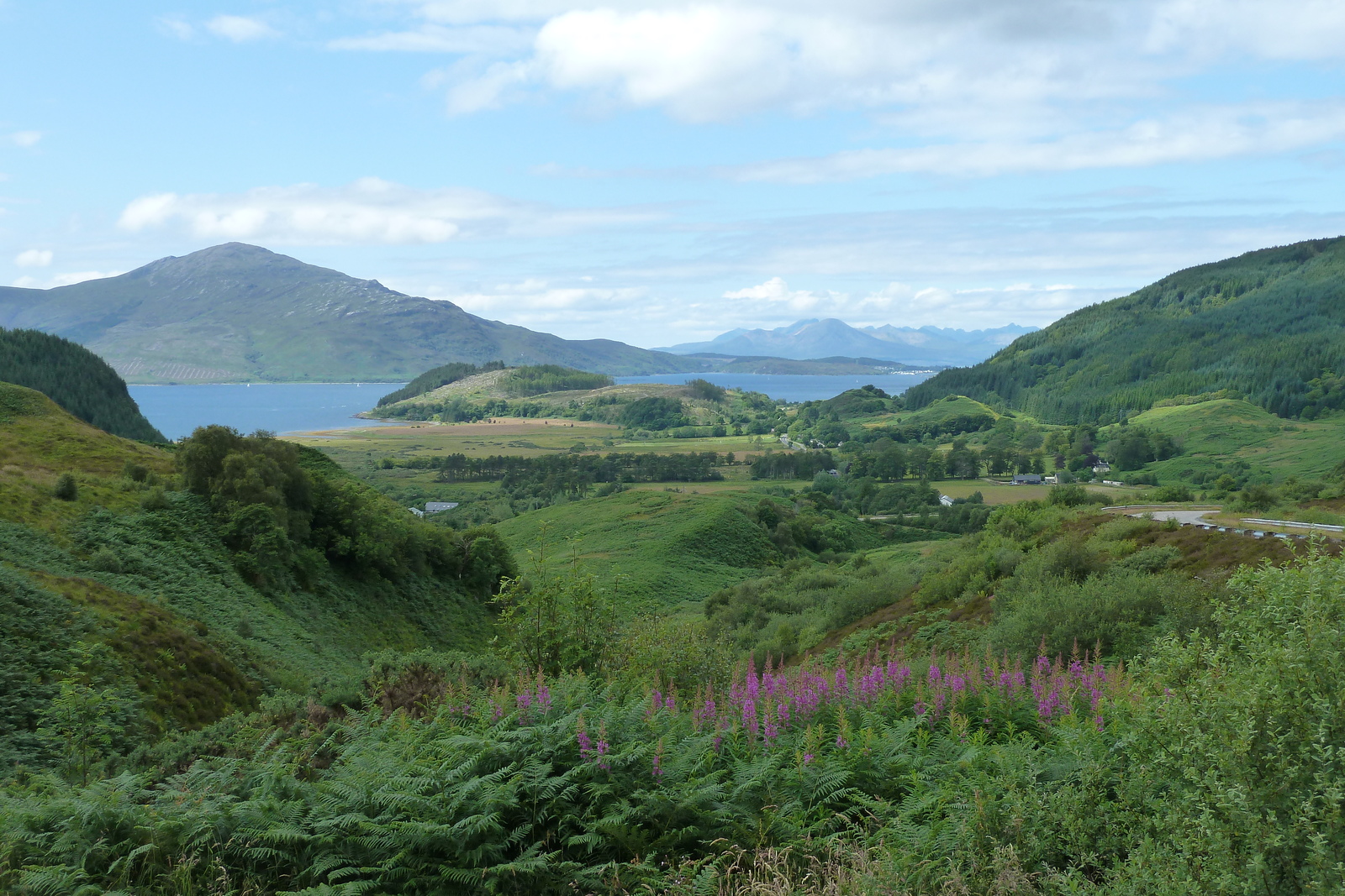 Picture United Kingdom Wester Ross 2011-07 27 - Road Wester Ross