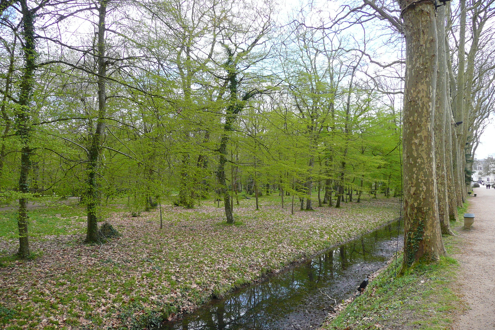 Picture France Chenonceau Castle Gardens of Chenonceau 2008-04 48 - Shopping Mall Gardens of Chenonceau