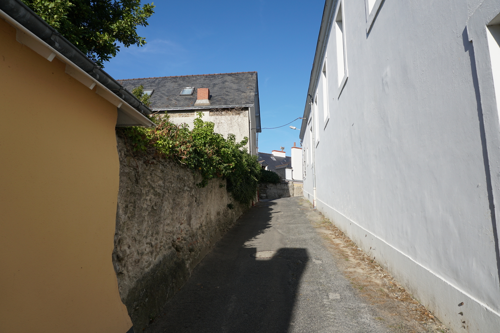 Picture France Belle-Ile 2016-08 192 - Photographers Belle-Ile