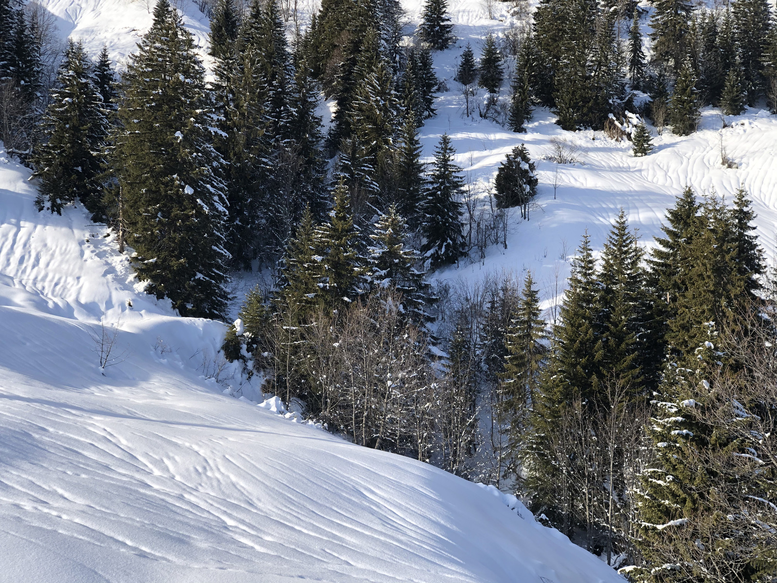 Picture France Praz sur Arly 2019-12 122 - Sightseeing Praz sur Arly