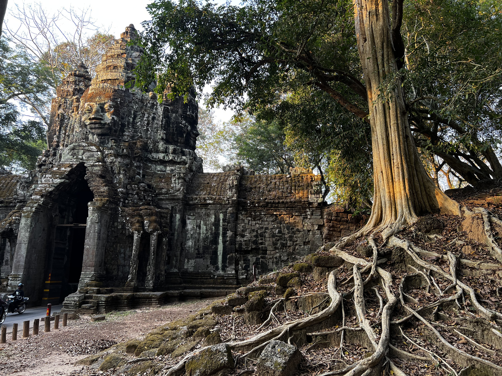 Picture Cambodia Siem Reap Angkor Thom 2023-01 39 - Trail Angkor Thom