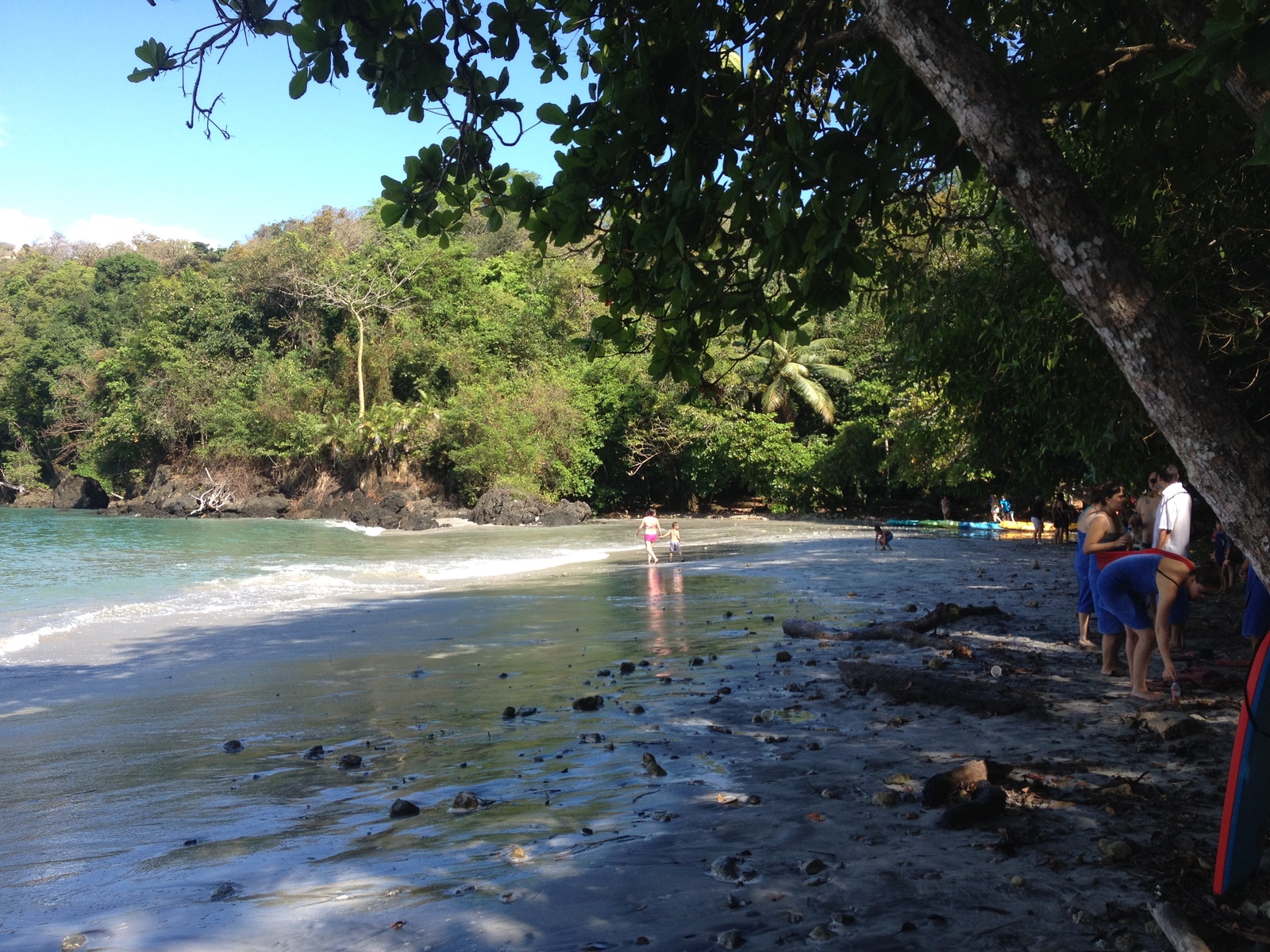 Picture Costa Rica Manuel Antonio 2015-03 203 - Randonee Manuel Antonio