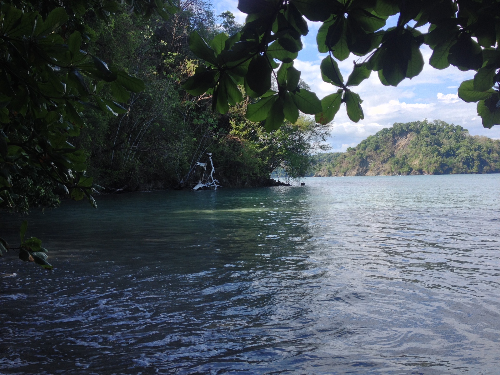 Picture Costa Rica Manuel Antonio 2015-03 381 - View Manuel Antonio