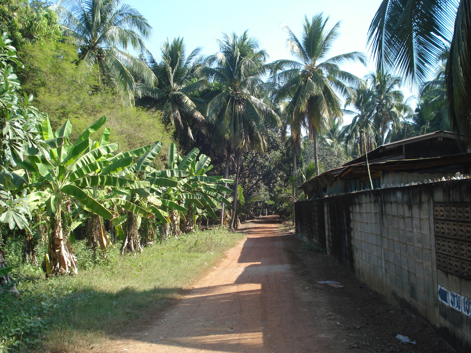 Picture Thailand Phitsanulok Jomthong Road 2008-01 29 - Perspective Jomthong Road