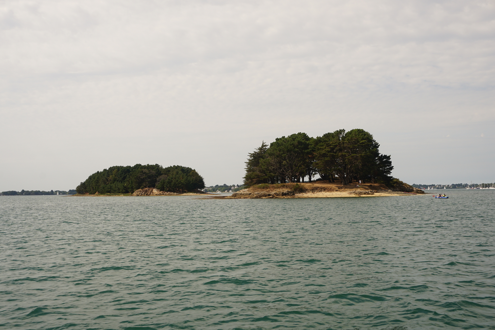 Picture France Golfe du Morbihan 2016-08 53 - Flights Golfe du Morbihan