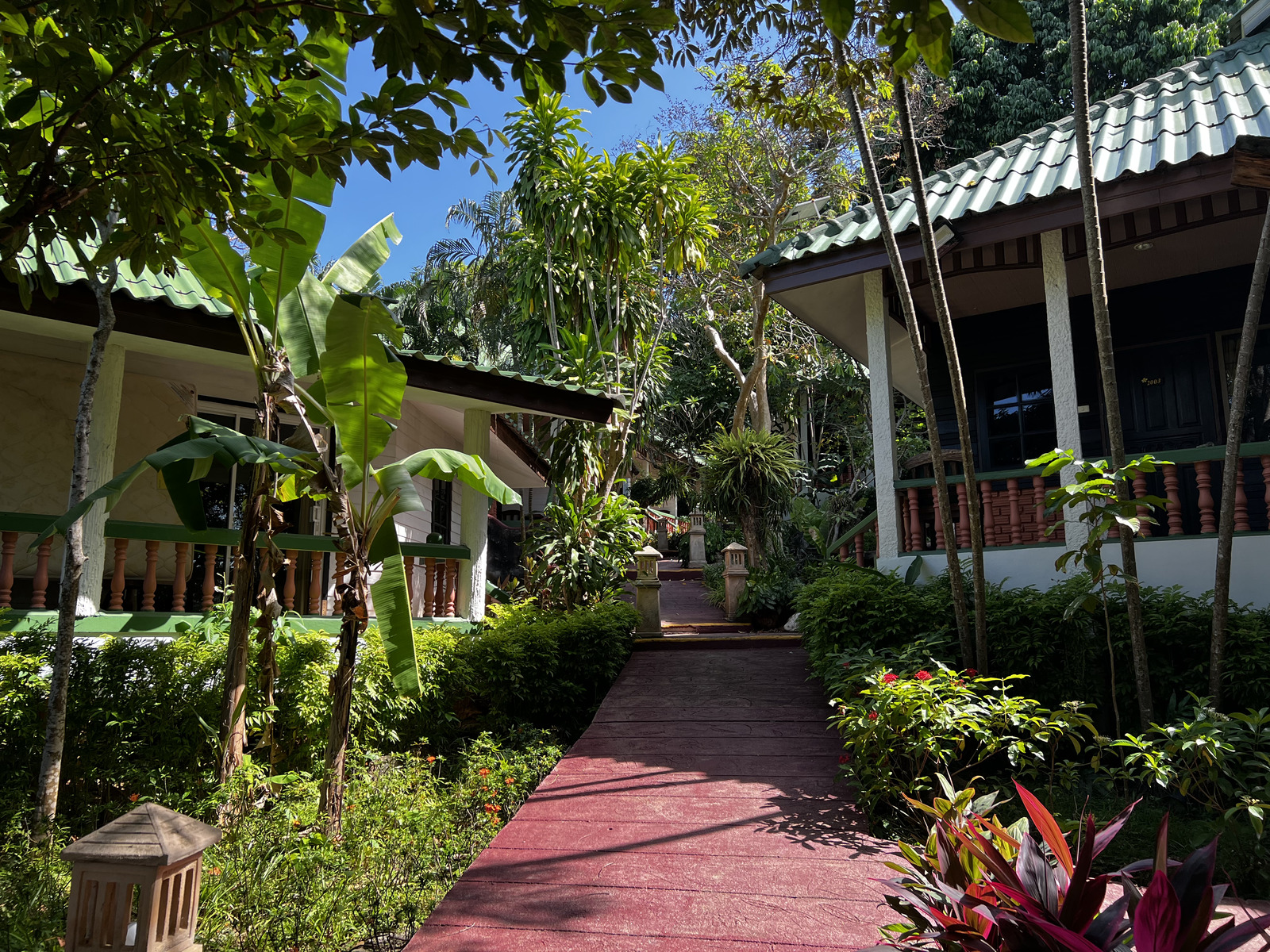 Picture Thailand Phuket Kata Beach Kata Garden Resort 2021-12 12 - Photographers Kata Garden Resort