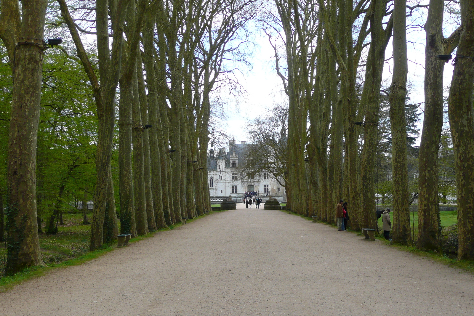 Picture France Chenonceau Castle Gardens of Chenonceau 2008-04 37 - Tourist Places Gardens of Chenonceau