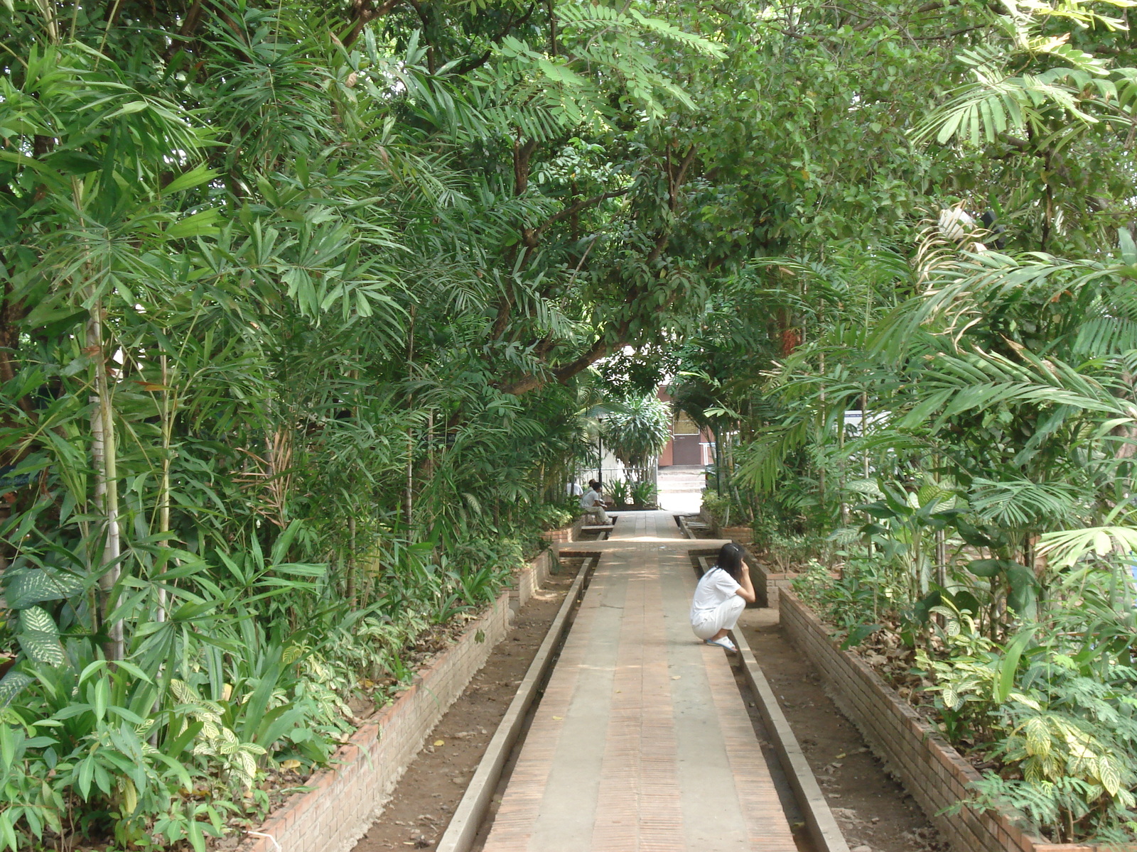 Picture Thailand Chiang Mai Inside Canal Wat Phra Sing temple 2006-04 12 - Sight Wat Phra Sing temple