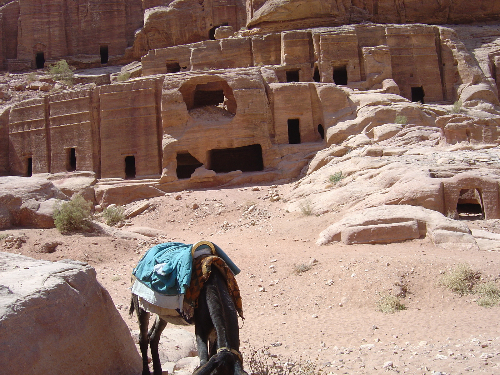 Picture Jordan Petra 2004-10 70 - Sightseeing Petra