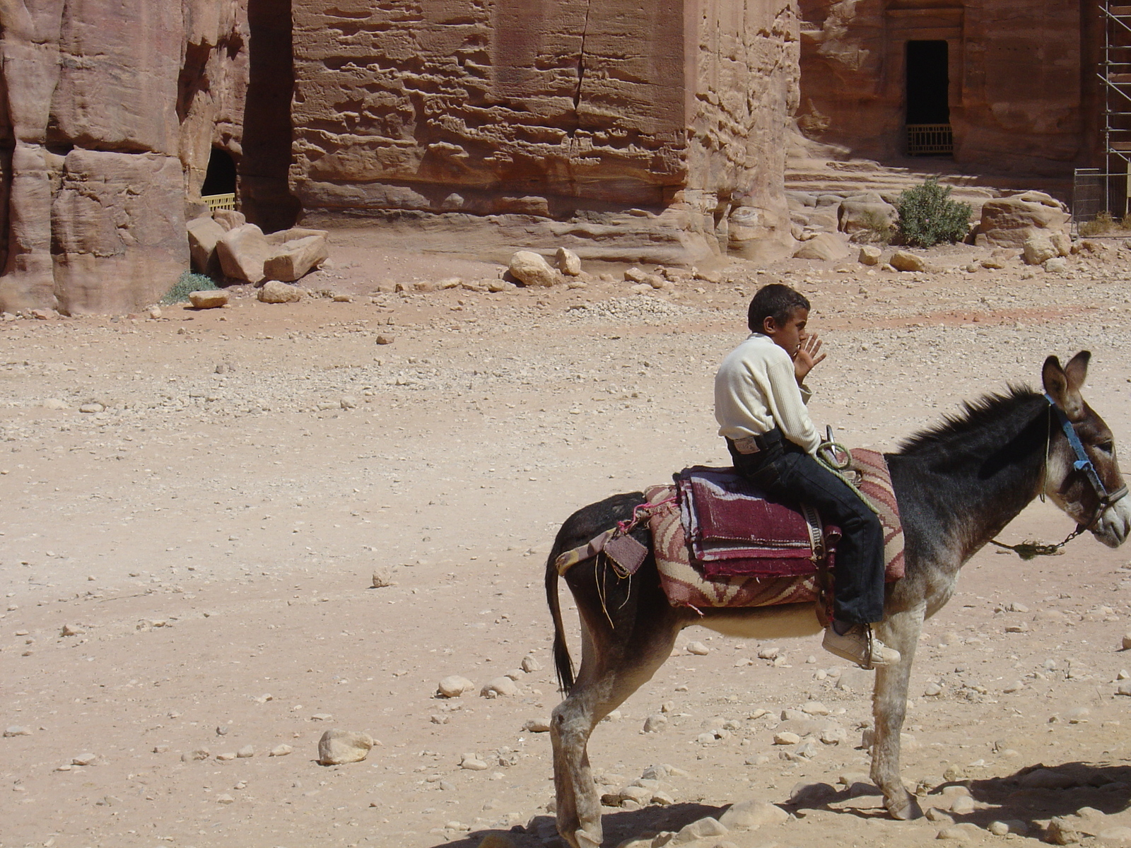 Picture Jordan Petra 2004-10 92 - Travel Petra