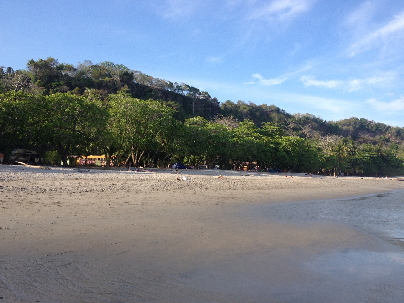 Picture Costa Rica Montezuma 2015-03 460 - Visit Montezuma