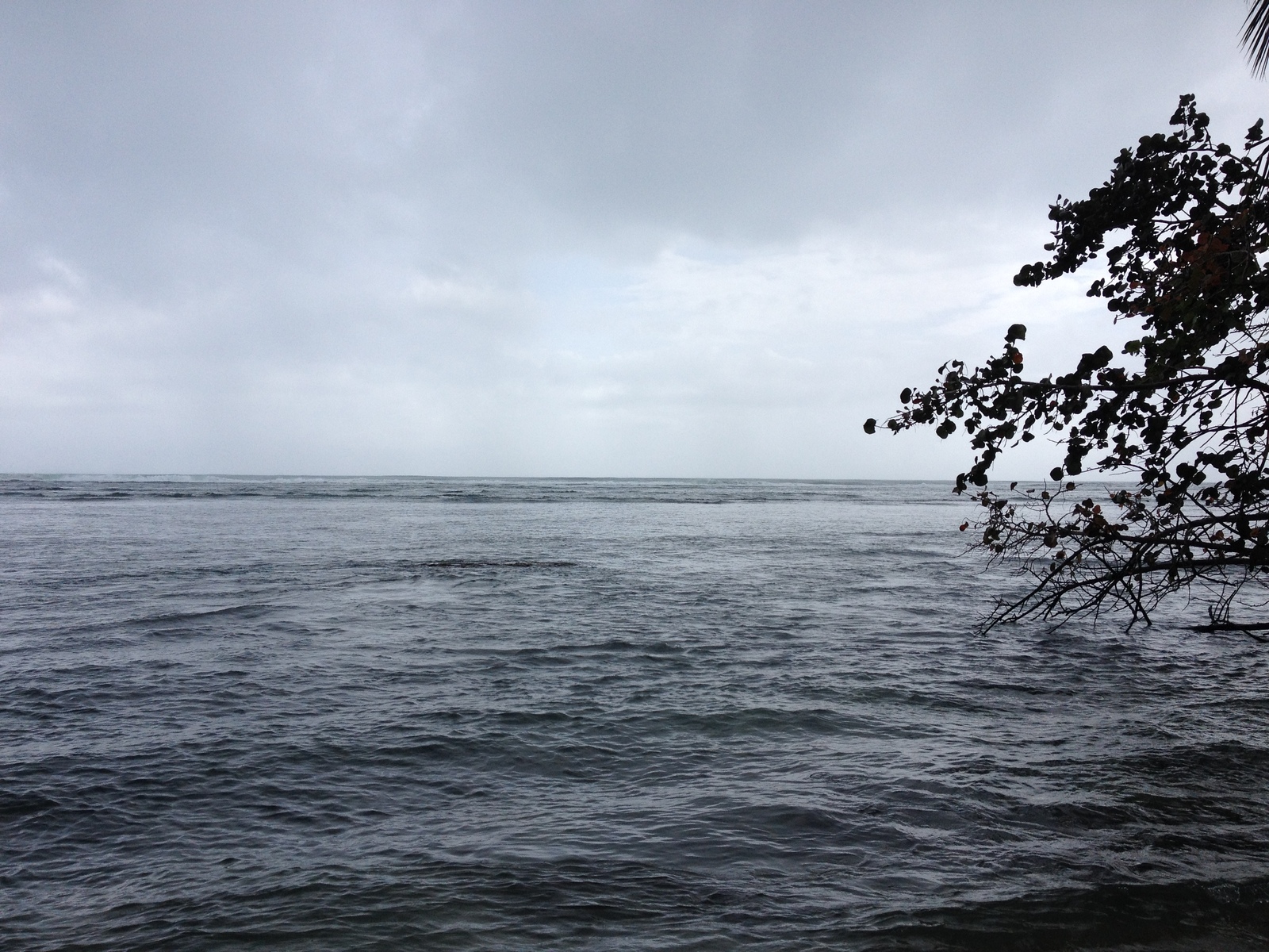 Picture Costa Rica Cahuita 2015-03 26 - Perspective Cahuita